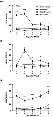 Ischemia-induced endogenous Nrf2/HO-1 axis activation modulates microglial polarization and restrains ischemic brain injury